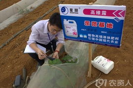 英雄帖——北京星朋公司誠(chéng)邀技術(shù)開(kāi)發(fā)精英加盟